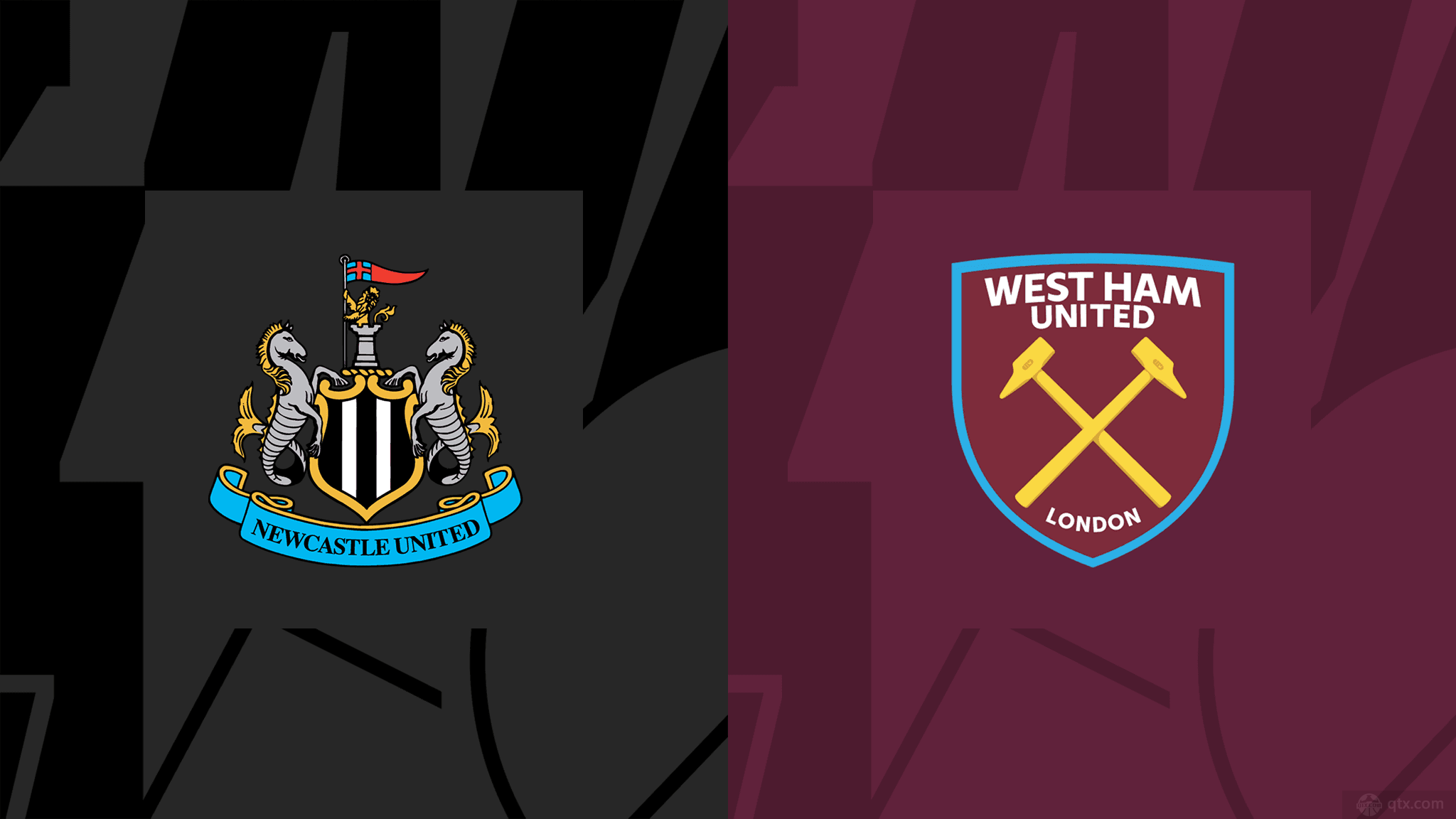 亚历克斯 亚历克斯